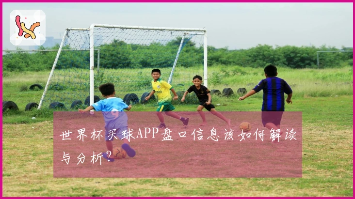 世界杯买球APP盘口信息该如何解读与分析？