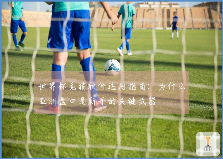 世界杯竞猜软件选用指南:为什么亚洲盘口是新手的关键武器