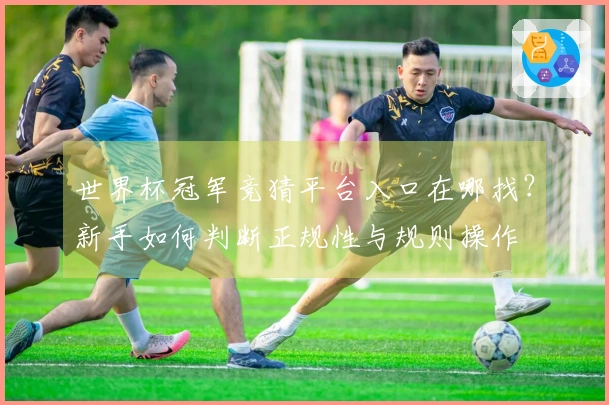 世界杯冠军竞猜平台入口在哪找？新手如何判断正规性与规则操作